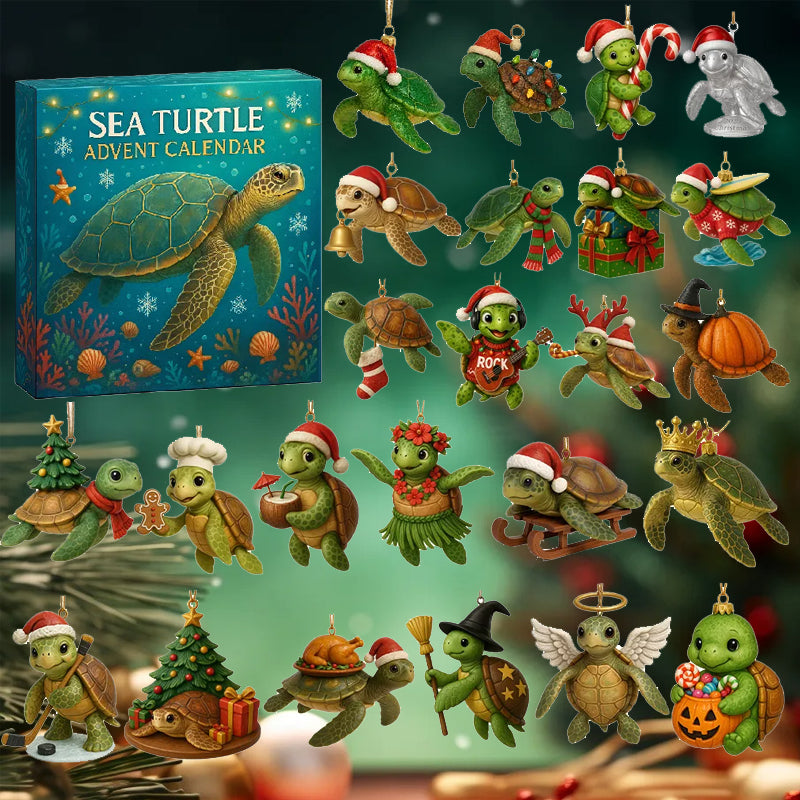 🌊🐢 Adventní kalendář mořských želv 2025