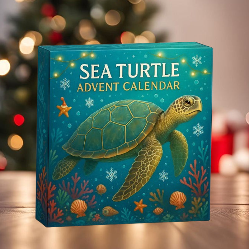 🌊🐢 Adventní kalendář mořských želv 2025