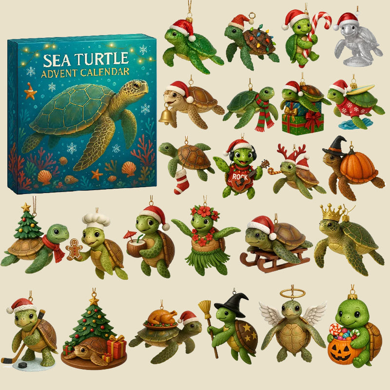 🌊🐢 Adventní kalendář mořských želv 2025
