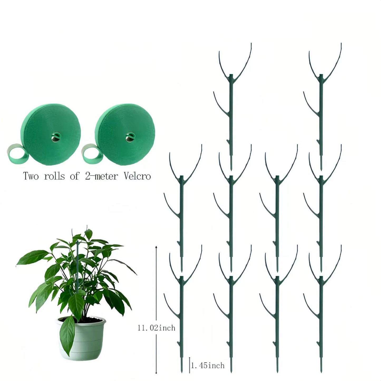 🌿Zahradnický rám pro zelené rostliny