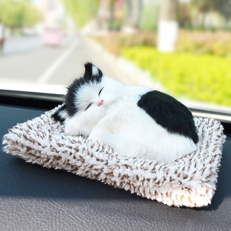 Cute Kitten Plush Gift 🐱