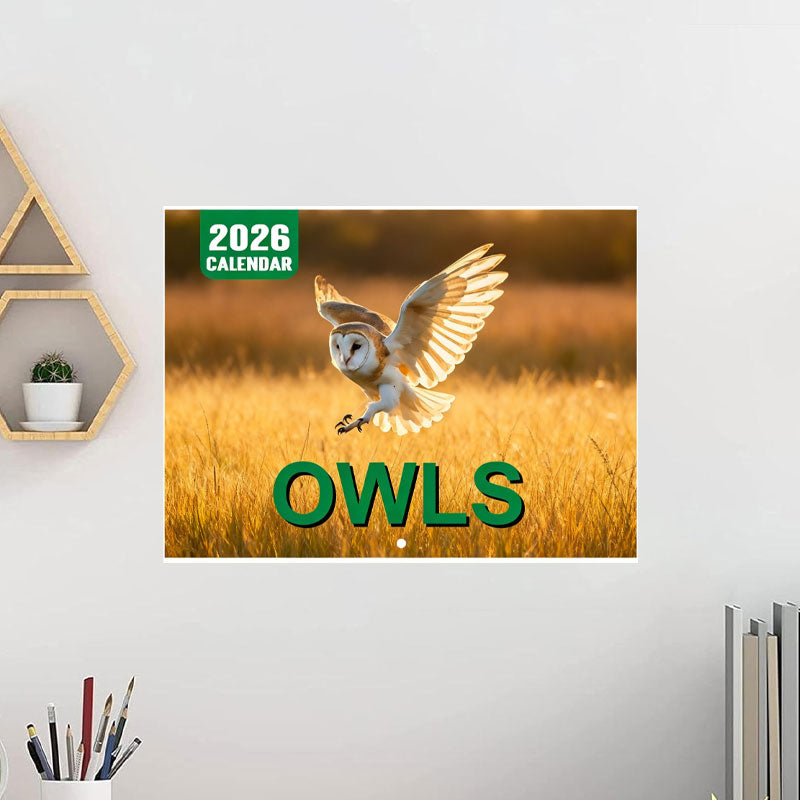 🔥Vánoční výprodej 49 % sleva🎄Kočka Kalendář 2026