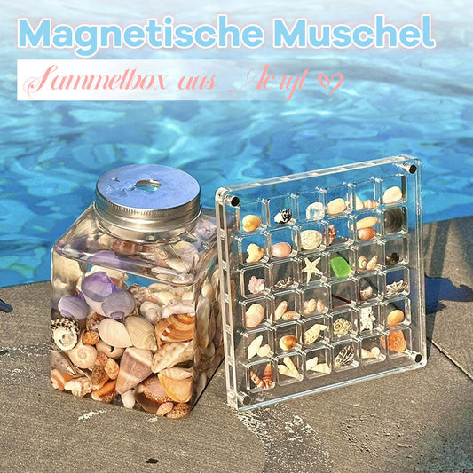 Exquisites Muschel-Aufbewahrungsbehältnis.