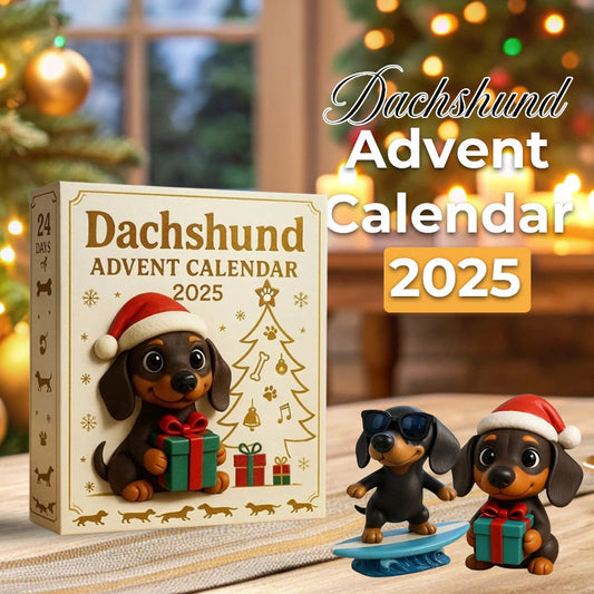 🐾 Jezevčík adventní kalendář 2025
