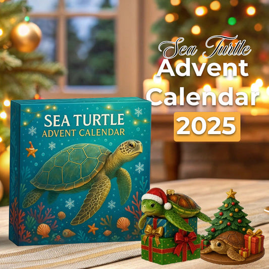🌊🐢 Adventní kalendář mořských želv 2025