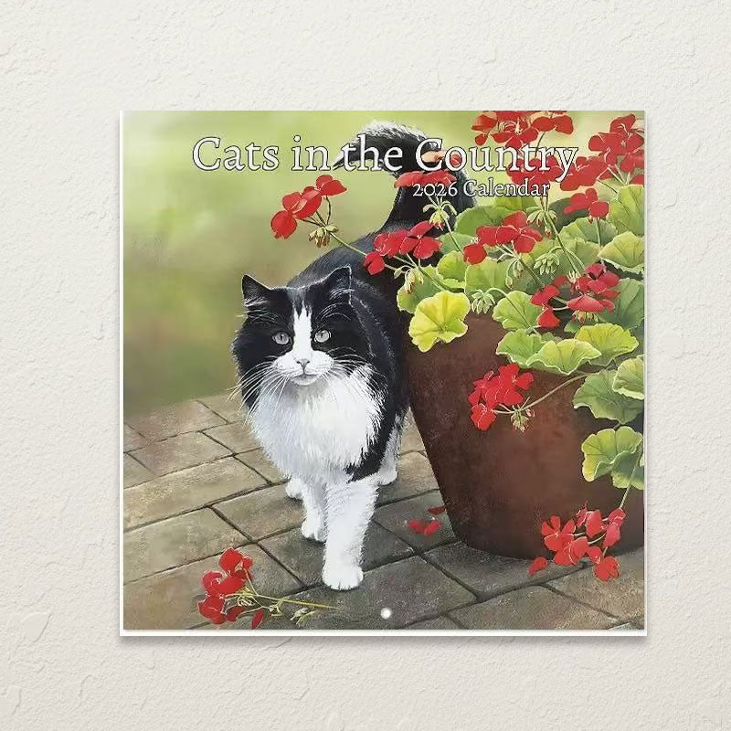 🔥Vánoční výprodej 49 % sleva🎄Kočka Kalendář 2026