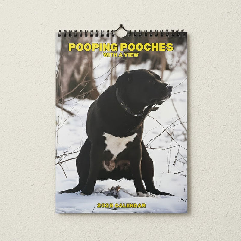 🔥Vánoční výprodej 49 % sleva🎄Kočka Kalendář 2026