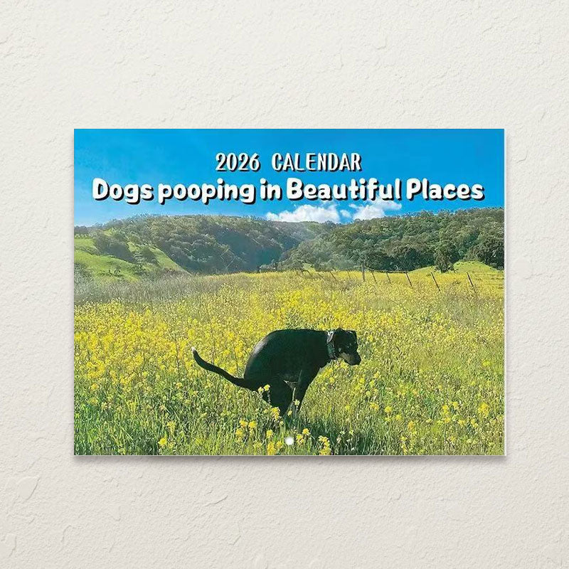 🔥Vánoční výprodej 49 % sleva🎄Kočka Kalendář 2026