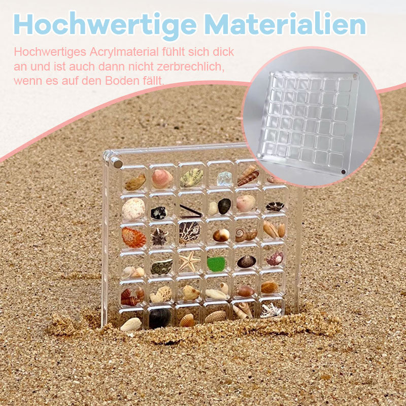 Exquisites Muschel-Aufbewahrungsbehältnis.