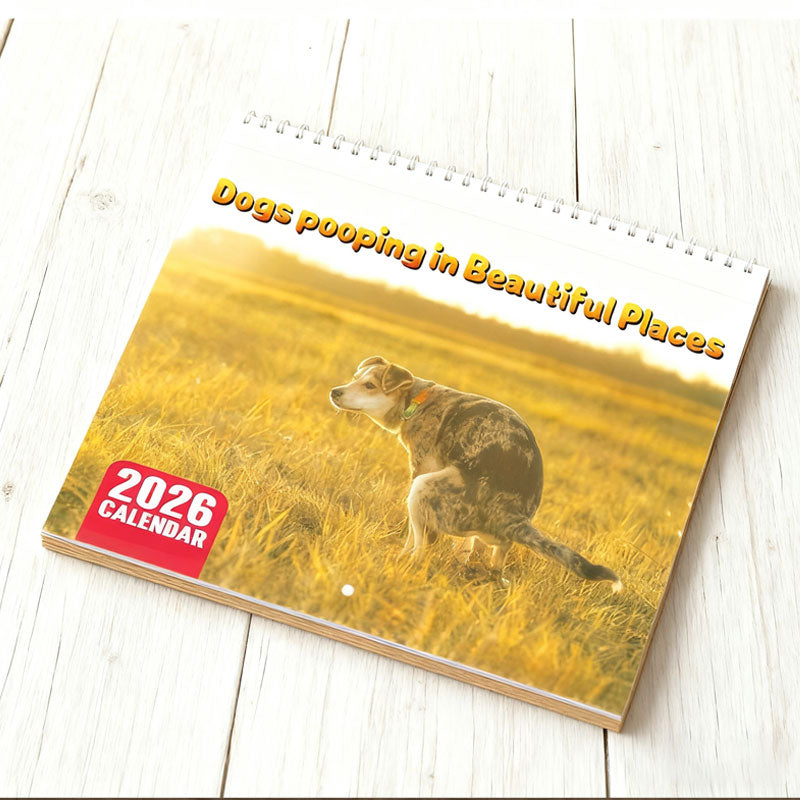 🔥Vánoční výprodej 49 % sleva🎄Kočka Kalendář 2026