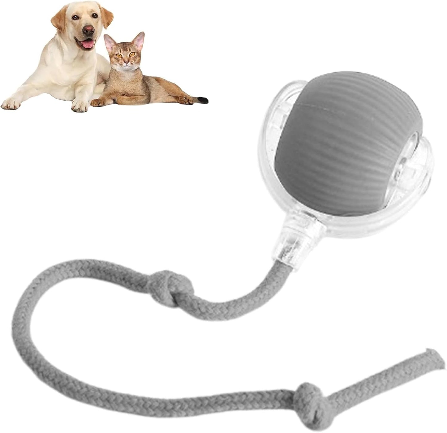 Smart Chasing Haustier Spielzeug Ball