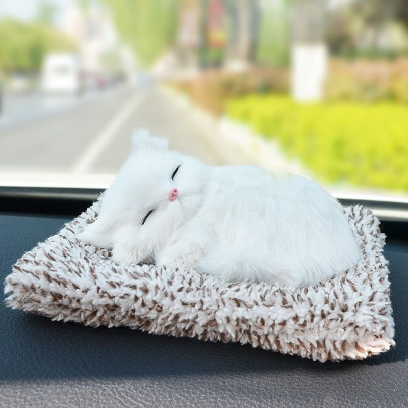 Cute Kitten Plush Gift 🐱