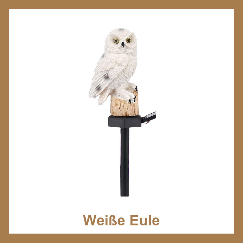 Solare Eulen-Innenhof-Rasen-Garten-dekoratives Licht