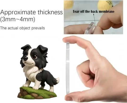 Adventní kalendář Border Collie 2025