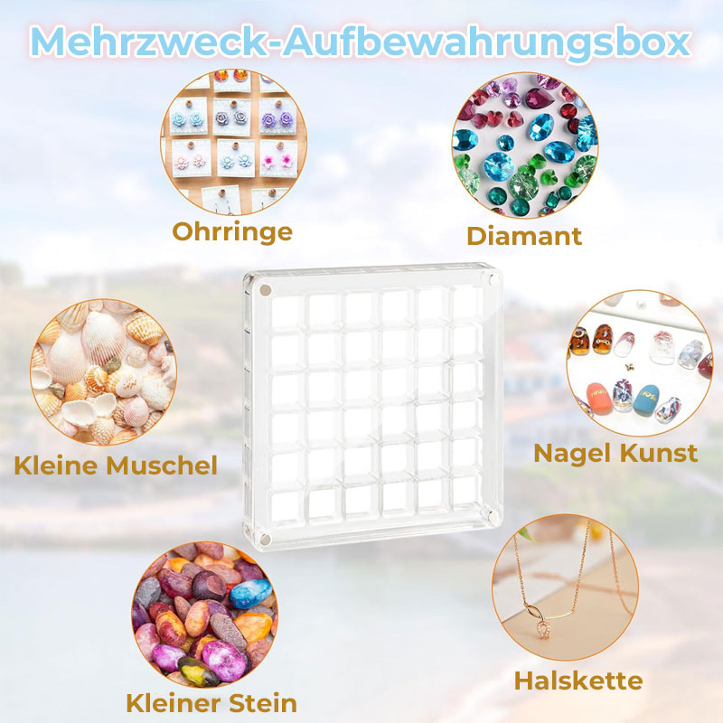 Exquisites Muschel-Aufbewahrungsbehältnis.