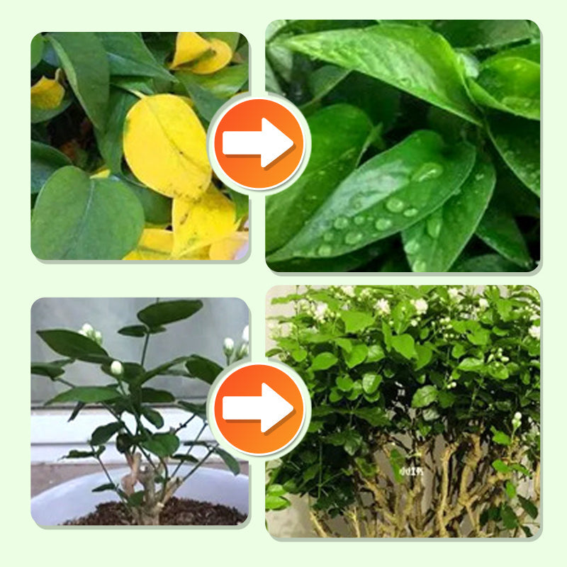 🌱 Long-lasting plant food sticks – balanced NPK for roots, leaves & blooms! 🌿✨