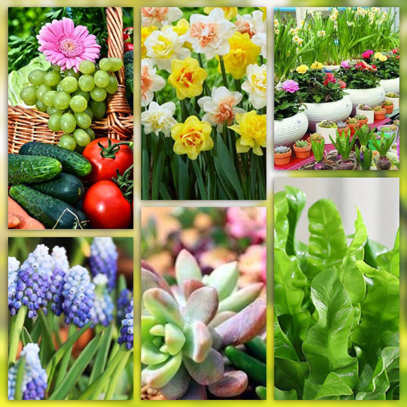 🌱 Long-lasting plant food sticks – balanced NPK for roots, leaves & blooms! 🌿✨